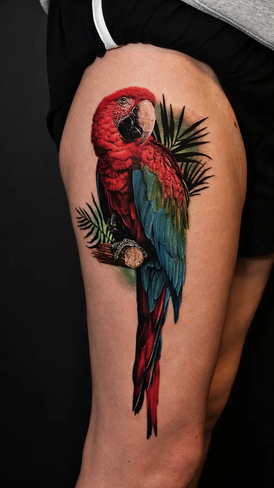 Scarlet Macaw — color tattoo on thigh by Amed Cid, Miami