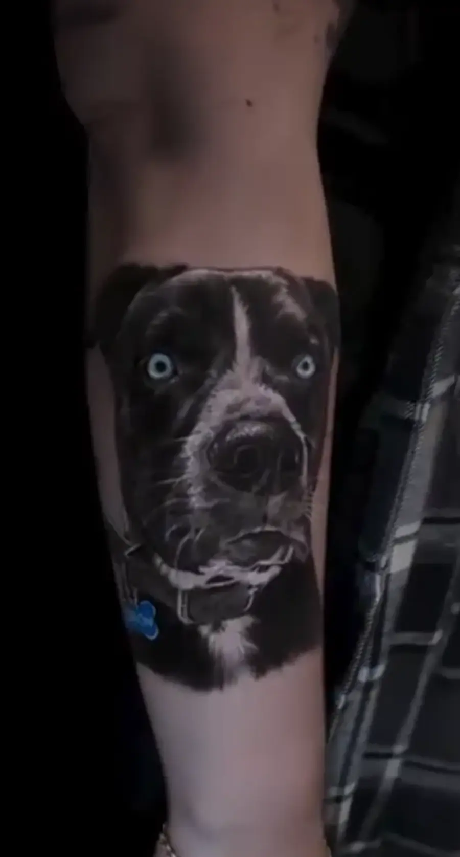 Pitbull — mixed tattoo on forearm by Amed Cid, Miami
